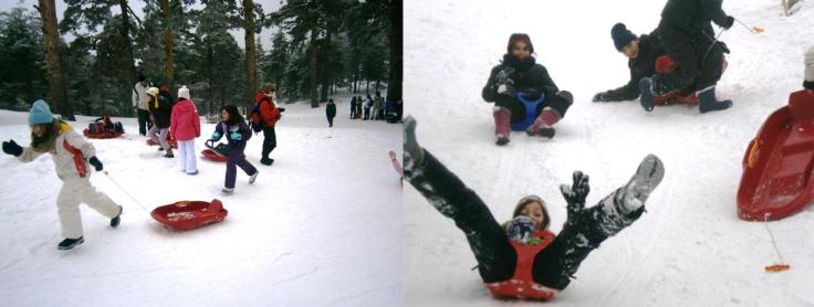 Pnr_nieve_trineos_web