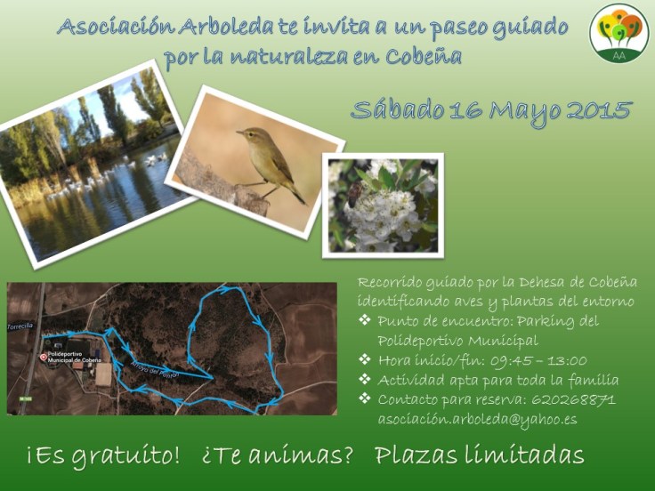 Arb_Salida_Naturaleza_Cartel