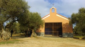 Arb_2016-01-30 10.37.40_web (1024x576)