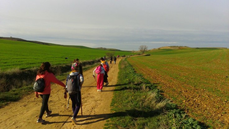 Arb_2016-01-30 15.44.58_web (1024x576)