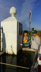 Arb_2016-01-30 16.26.34_web (576x1024)