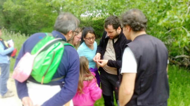 Arb_Quemadas_20160514_01_web