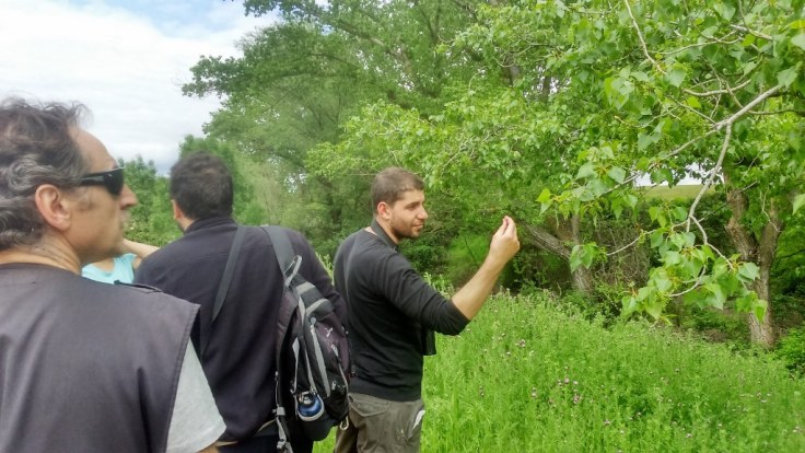 Arb_Quemadas_20160514_02_web