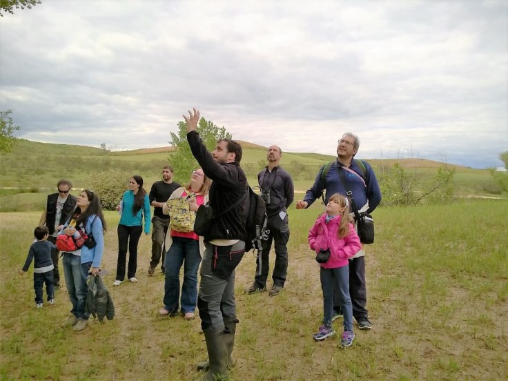 Arb_Quemadas_20160514_03_web